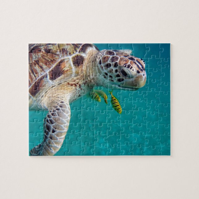 Moderne tropische Schildkröte Puzzle (Horizontal)