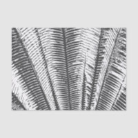Moderne tropische Schwarzweiss-Palmwedel