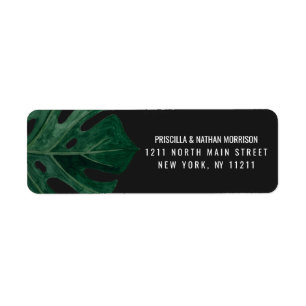 Moderne tropische Schweizer