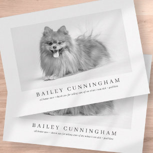 Moderne und einfache Fotos dank Vet Nurses Dankeskarte