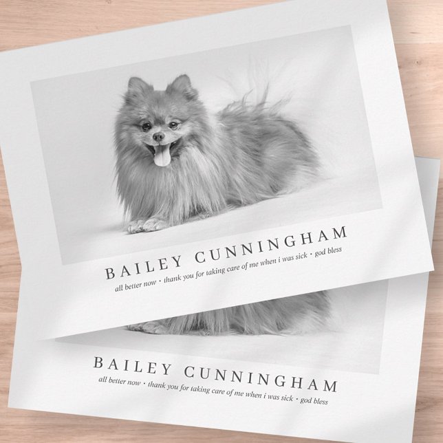 Moderne und einfache Fotos dank Vet Nurses Dankeskarte (Von Creator hochgeladen)