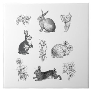 Moderne Vintage Bauernhäuser Osterkaninchen Fliese