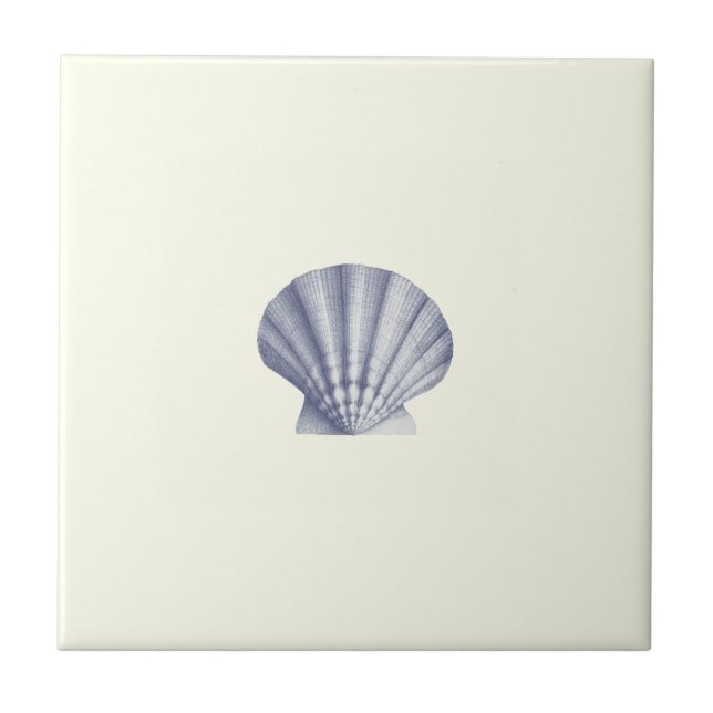 Moderne Vintage Blue Sea-Muschel auf Elfenbein Fliese (Vorderseite)