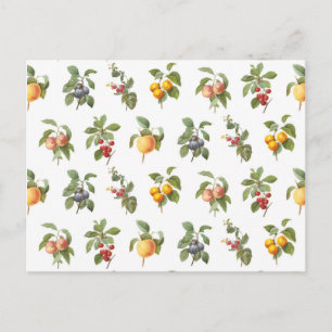 moderne Vintage botanische Früchte Postkarte