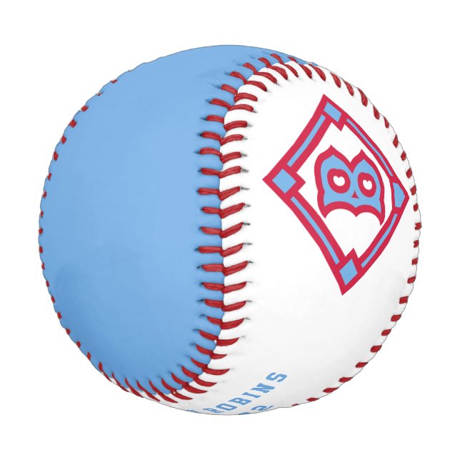 Moderne Vintage Brooklyn Robins Hommage Baseball (Schrägansicht)
