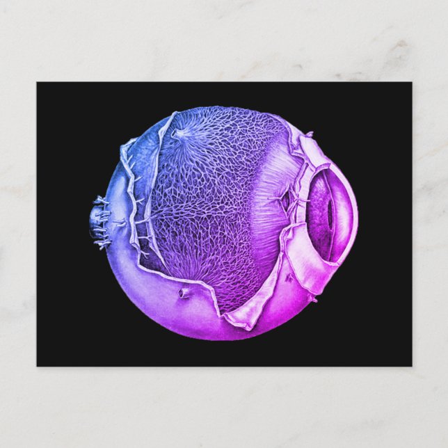 Moderne Vintage Eyeballdetails Zeichnend Lila Postkarte (Vorderseite)
