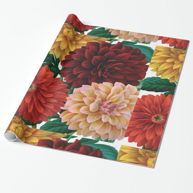 Moderne Vintage Falldahlien Geschenkpapier (Ungerollt)
