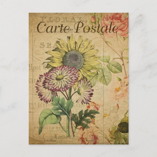 Moderne Vintage französische Blume sammeln Postkar Postkarte (Vorderseite)