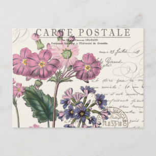 moderne Vintage französische Blüte Postkarte