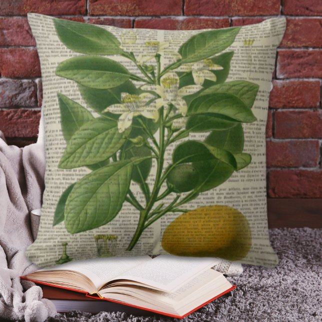 moderne Vintage französische botanische Kunstorang Kissen (modern vintage french country botanical art orange throw pillow)