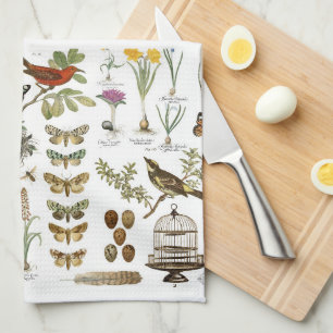 moderne Vintage französische botanische Vögel un Küchentuch