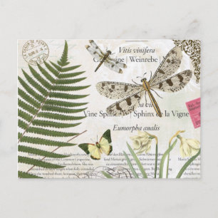 moderne Vintage französische Libelle Postkarte