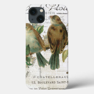 Moderne Vintage französische Vögel und Vogelkäfige Case-Mate iPhone Hülle