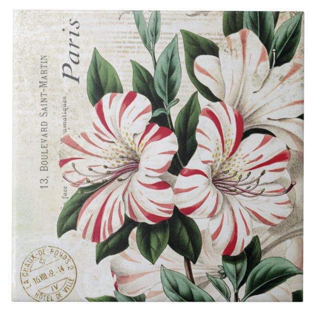 moderne Vintage französische Weihnachtenamarylis Fliese (Vorderseite)