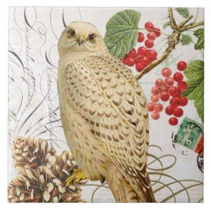 moderne Vintage französische Wintereule Fliese