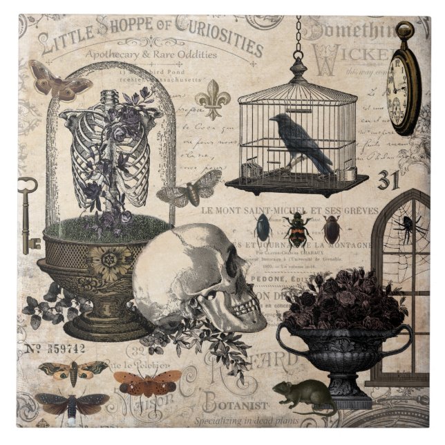 Moderne Vintage-Halloween-Garten Fliese (Vorderseite)