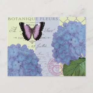 moderne Vintage Hydrangee und Schmetterling Postkarte
