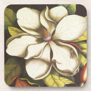 moderne Vintage-Magnolie Untersetzer
