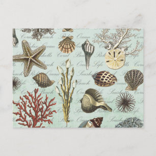 Moderne Vintage Meeresmuscheln Postkarte