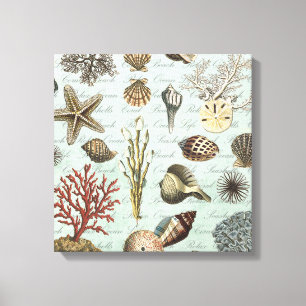 Moderne Vintage Muscheln Leinwanddruck