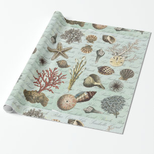 Moderne Vintage Seashells Geschenkpapier