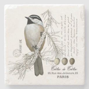 moderne vintage wald chickadee steinuntersetzer