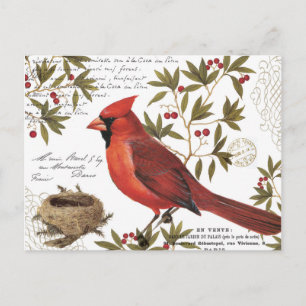moderne vintage winter kardinal postkarte