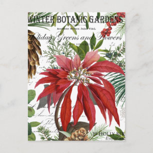 Moderne vintage Wintergarten-Blumen Postkarte