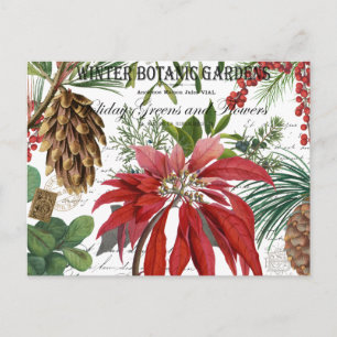 Moderne vintage-wintergartenblume postkarte