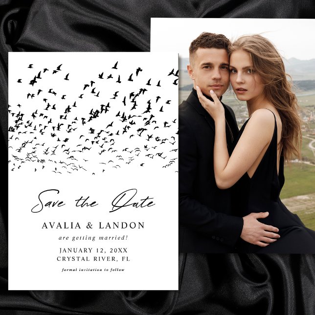 Moderne Vögel einer feather Black and White Weddin Save The Date (Von Creator hochgeladen)