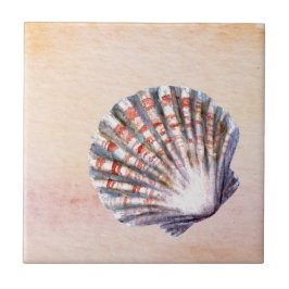 Moderne Wasserfarben Hintergrund Muschelmalerei Fliese