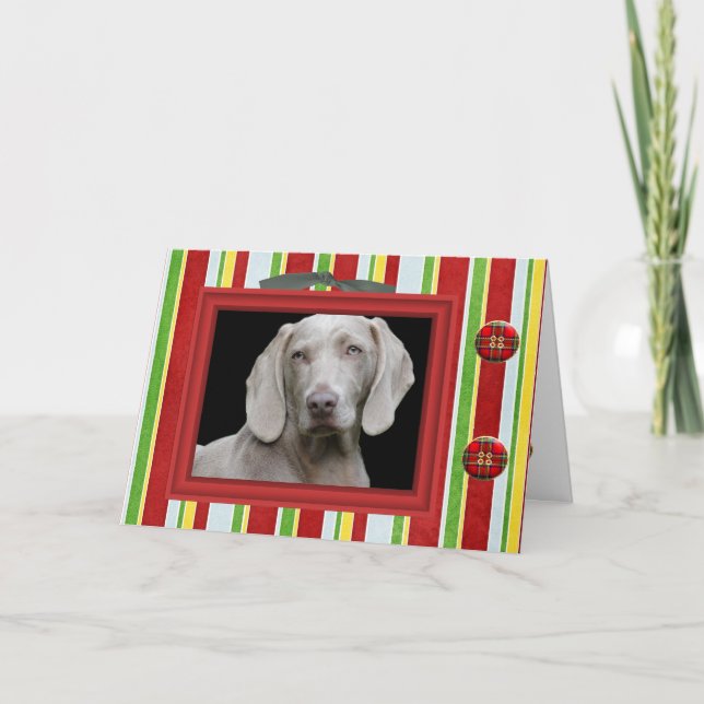 Moderne Weihnachts-Foto-Grußkarte Feiertagskarte (Vorderseite)