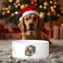 Moderne Weihnachtsschüssel für Haustiere – Persona