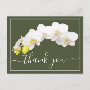 Moderne Weiße Orchidee Elegante Botanische Dankesk Postkarte