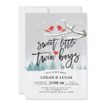 Moderne Winter Baby Dusche Sweet Little Twin Boys