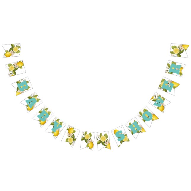 Moderne Zitrusfrüchte-Zitrusdusche Baby Wimpelkette (Alle)