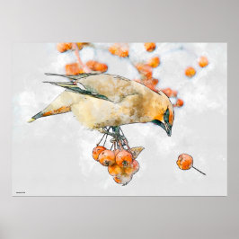 Moderner Aquarellvogel auf einer Winterzweigbeere Poster