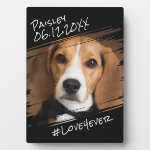 Moderner Chic Elegant Einfach Schwarzer Haustier H Fotoplatte