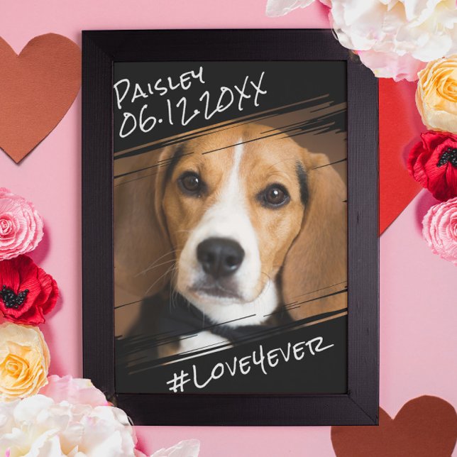 Moderner Chic Elegant Einfach Schwarzer Haustier H Poster (Von Creator hochgeladen)