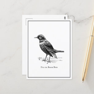 Moderner Eigenartiger Spaß Schwarzer Vogel Postkarte