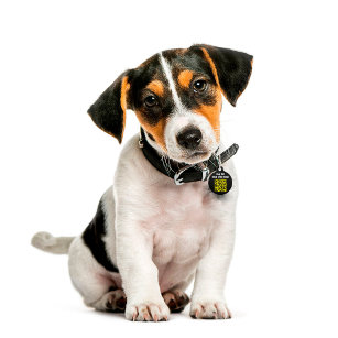 Moderner einfacher ID QR Dog Haustiermarke