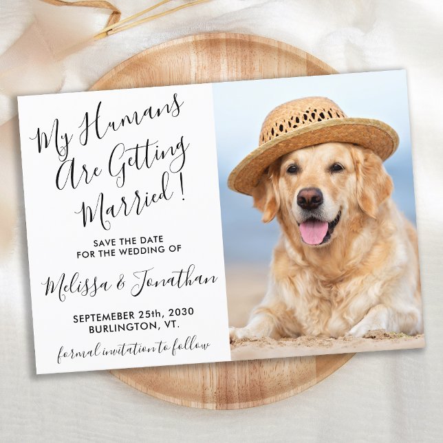 Moderner Eleganter Hochzeitshund Foto Personalisie Save The Date (Von Creator hochgeladen)