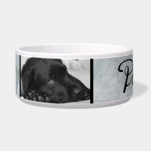 Moderner Grauer Hund in Schwarz-Script-2-Foto