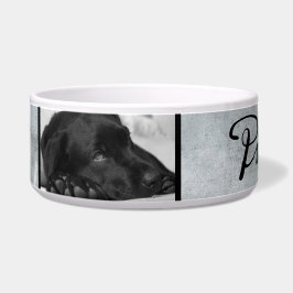 Moderner Grauer Hund in Schwarz-Script-2-Foto Napf