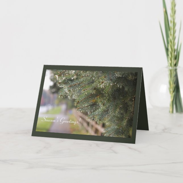 Moderner, heller Glanz in Evergreen Needles Holida Karte (Vorderseite)