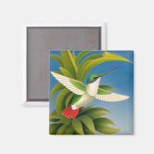 Moderner Kolibri