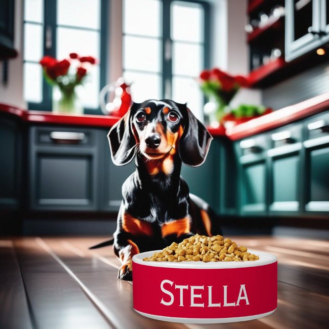 Moderner, Minimalistischer, weißer Katze Napf (A red and white ceramic bowl for food or water, personalized with your dog's name)