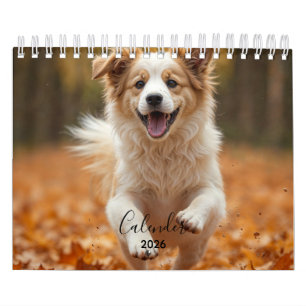 Moderner persönlicher Hunde-Foto-Kalender 2026 Kalender