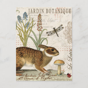 moderner vintage-französischer Hase im Garten Postkarte
