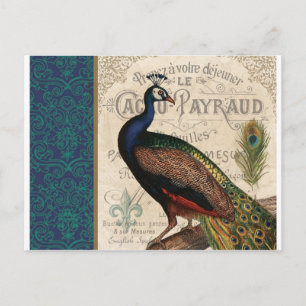 moderner vintage-französischer Pfau Postkarte